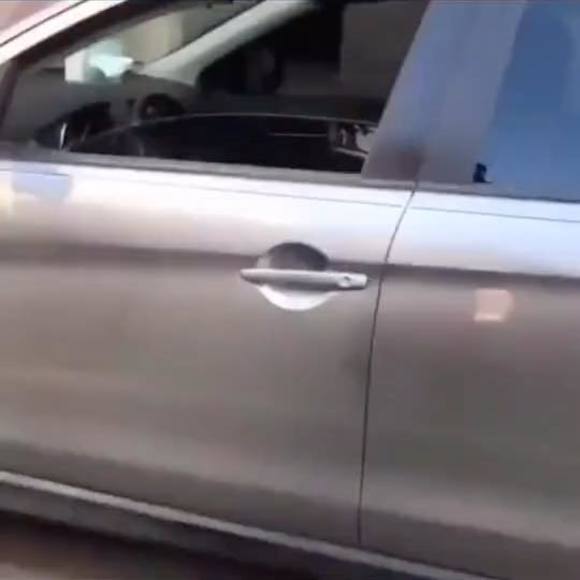 Meet your Posher, Wyatt - Picture 1 of 1